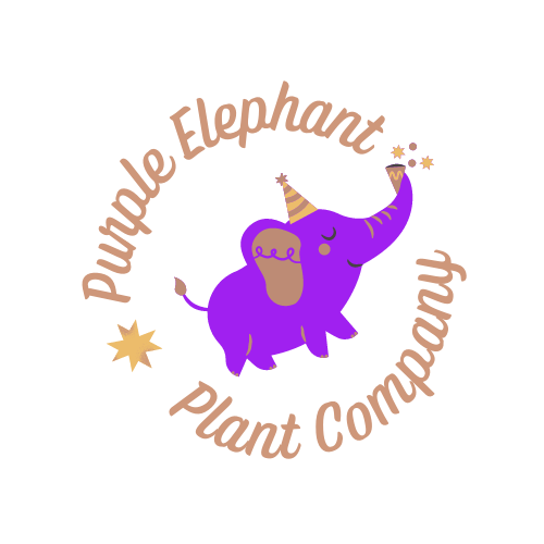 Purple Elephant Plant Co.